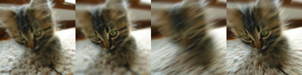 Screenshot of 4 different types of blur applied to the same image