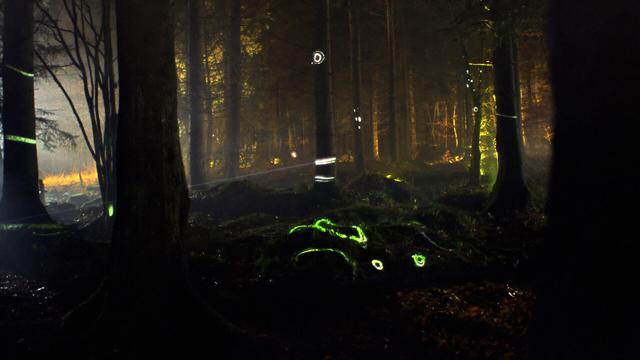 A photo of a dark forest with some lines and shapes projected onto the trees