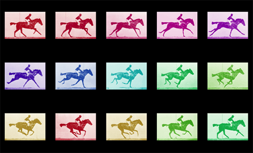 A grid of Muybridge's photographs of a horse and jockey